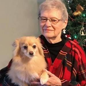 Meet your Posher, Iris